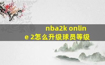 nba2k online 2怎么升级球员等级